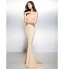 TS Couture? Formal Evening Dress - Beautiful Back Trumpet / Mermaid V-neck Sweep / Brush Train Lace / Jersey with Lace  