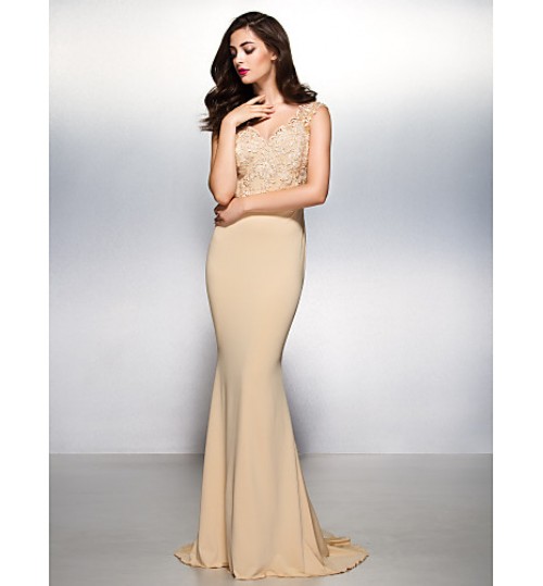 TS Couture? Formal Evening Dress - Beautiful Back Trumpet / Mermaid V-neck Sweep / Brush Train Lace / Jersey with Lace  